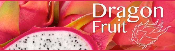 Dragonfruit Banner