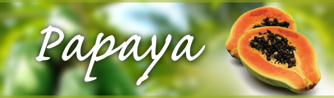 Papaya Banner