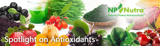 Spotlight on Antioxidants