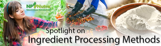 Ingredient Processing