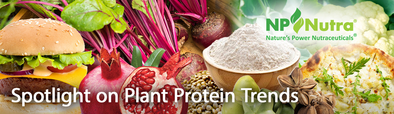 Plant Protein Trends