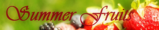 Summer Fruits Banner