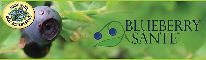 BlueberrySante Banner