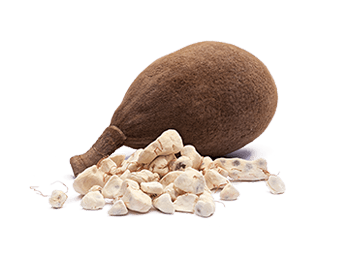 Baobab Fruit Powder (organic)