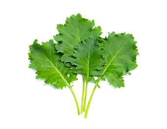 Kale Powder (organic)