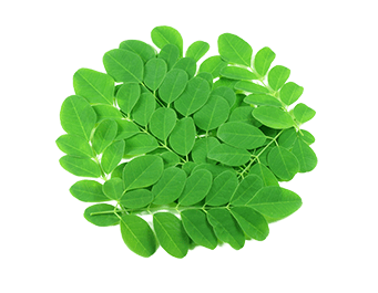 Moringa Leaf Powder (organic)