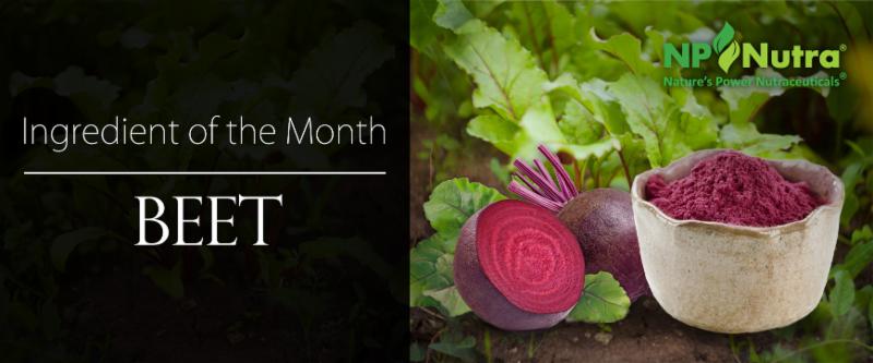 Beet Header