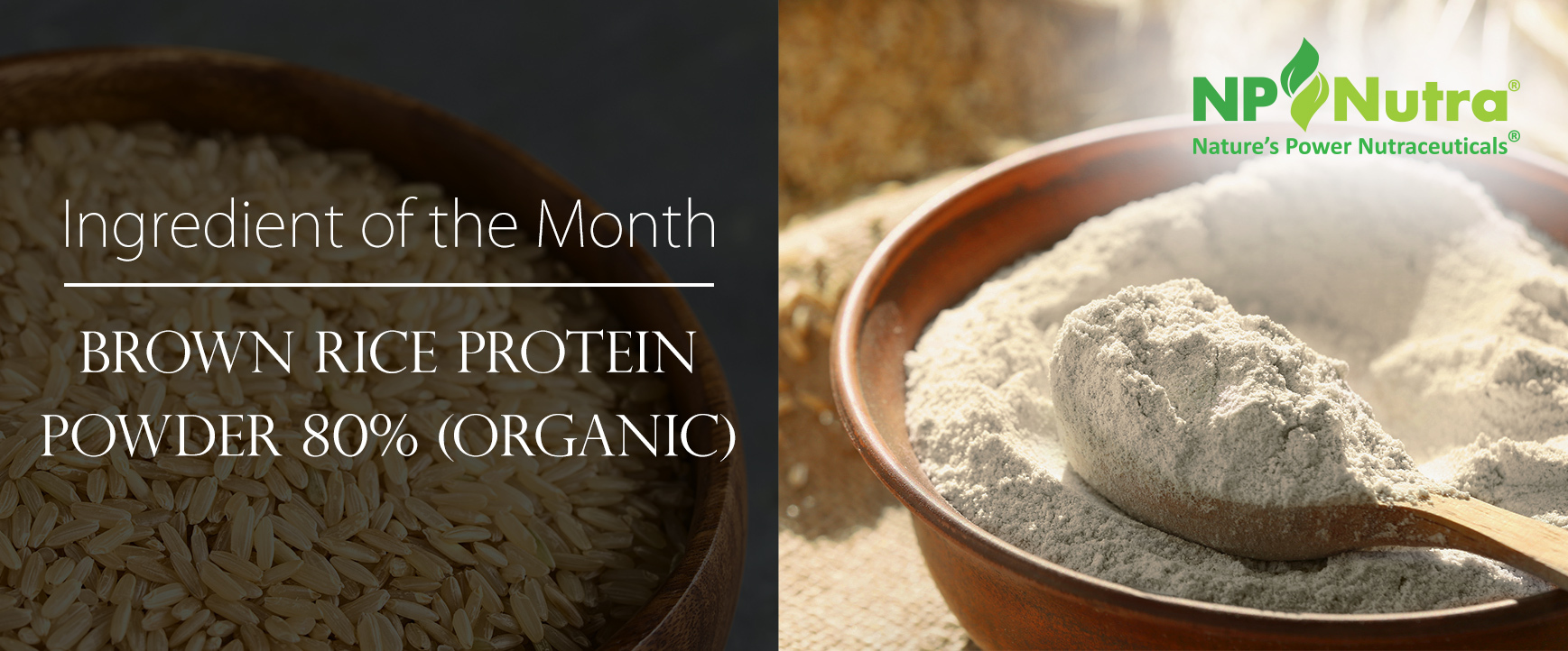 Organic Brown Rice Protein Powder Header