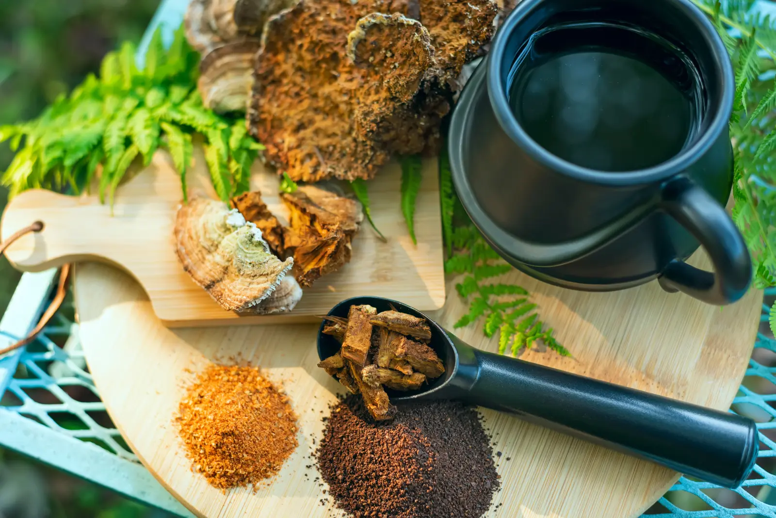 Organic Mushroom Powders