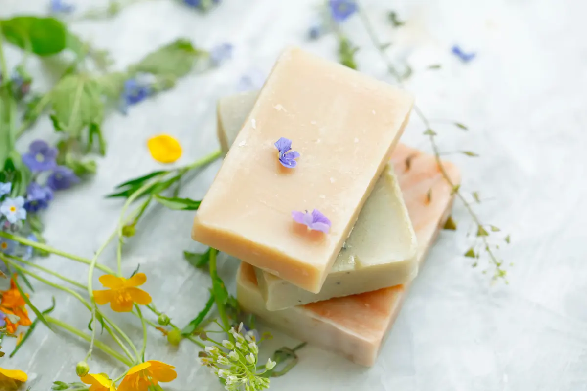 Organic Mushroom Powders
