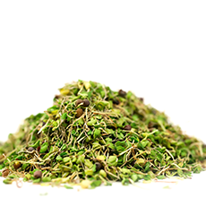 Radish Sprouts