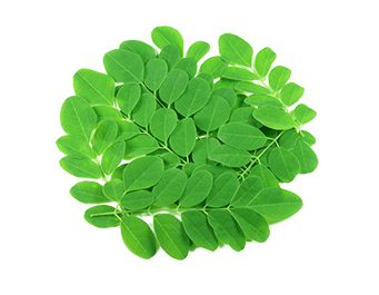 Moringa