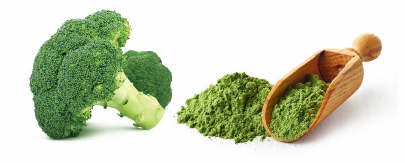 Broccoli
