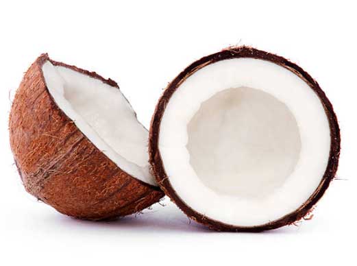 Coconut