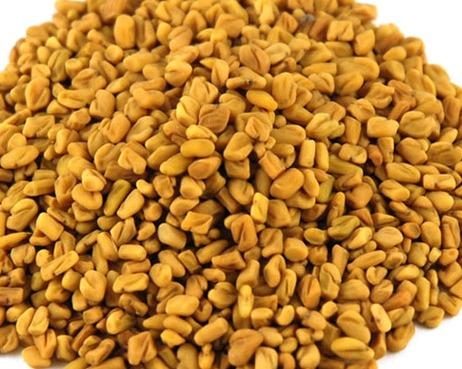 Fenugreek