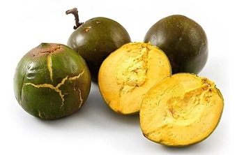 Lucuma